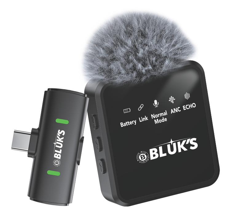 BLUKS BX 17 WIRELESS MIC